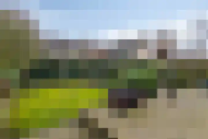 Pottenbakkerlaan 28 Hoogland thumbnail 43
