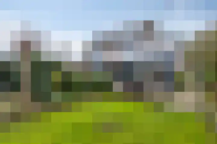 Pottenbakkerlaan 28 Hoogland thumbnail 44