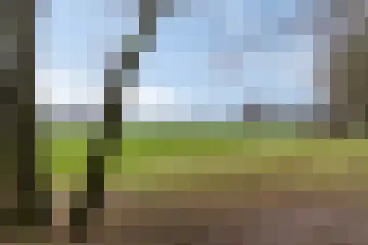Pottenbakkerlaan 28 Hoogland thumbnail 46