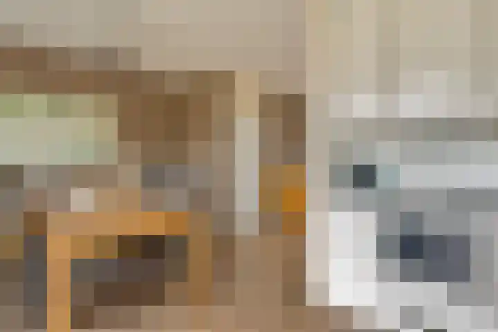 Pottenbakkersdonk 10 Apeldoorn thumbnail 10