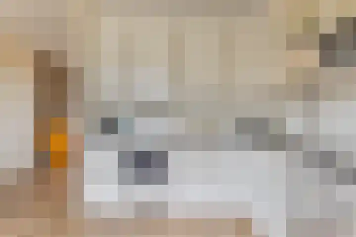 Pottenbakkersdonk 10 Apeldoorn thumbnail 11