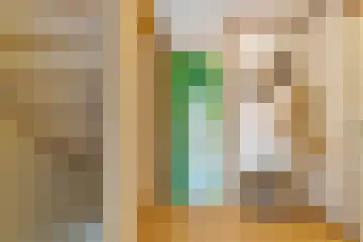 Pottenbakkersdonk 10 Apeldoorn thumbnail 12