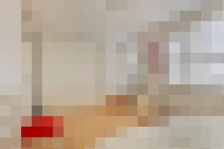 Pottenbakkersdonk 10 Apeldoorn thumbnail 14
