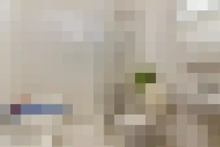 Pottenbakkersdonk 10 Apeldoorn thumbnail 19