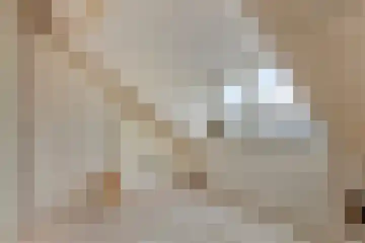 Pottenbakkersdonk 10 Apeldoorn thumbnail 22