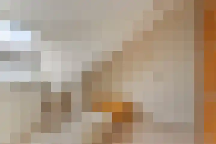 Pottenbakkersdonk 10 Apeldoorn thumbnail 23