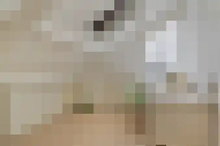 Pottenbakkersdonk 10 Apeldoorn thumbnail 24