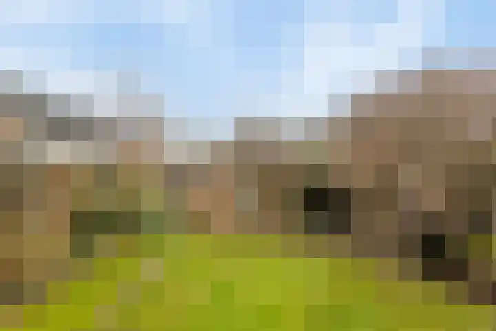 Pottenbakkersdonk 10 Apeldoorn thumbnail 26