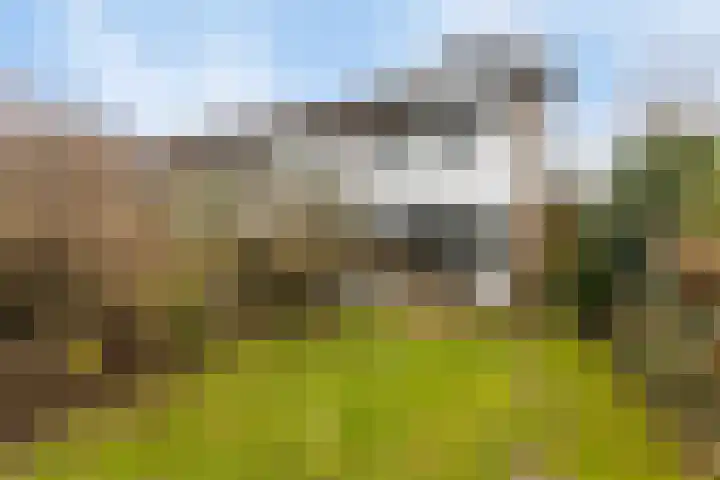Pottenbakkersdonk 10 Apeldoorn thumbnail 28