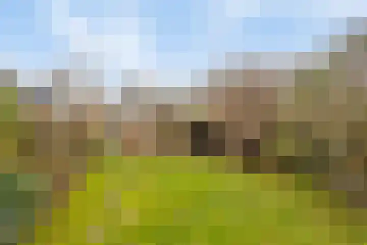 Pottenbakkersdonk 10 Apeldoorn thumbnail 4