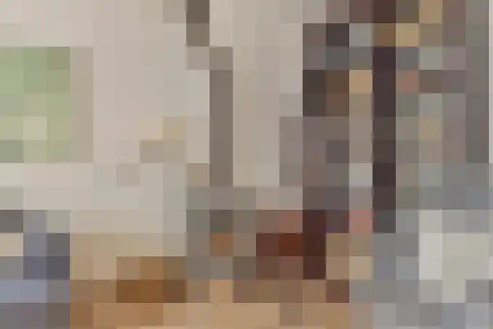 Pottenbakkersdonk 10 Apeldoorn thumbnail 7