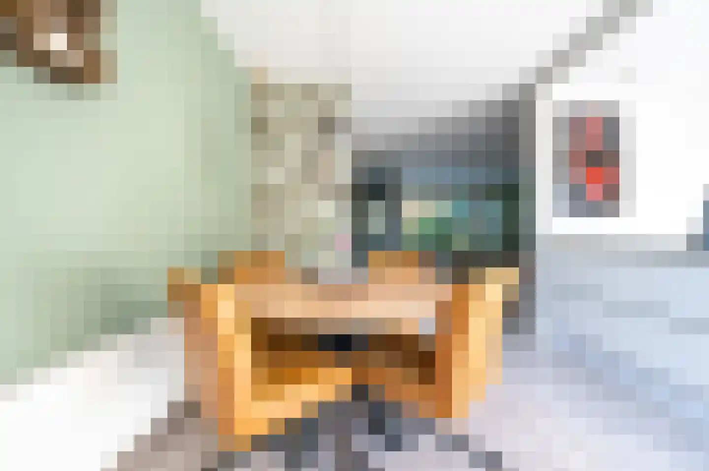 Pottenbakkersdonk 206 Apeldoorn thumbnail 15