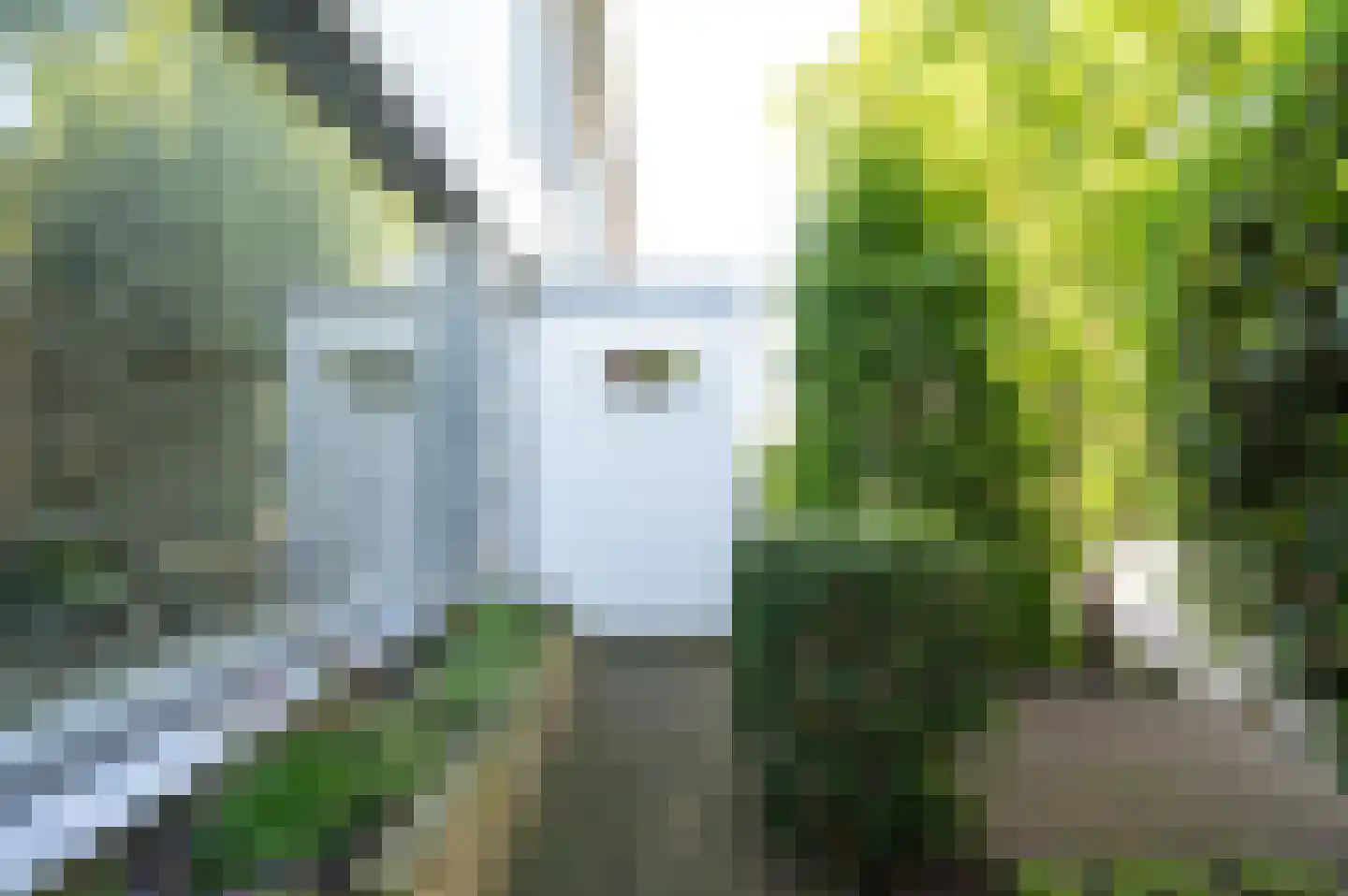 Pottenbakkersdonk 206 Apeldoorn thumbnail 5