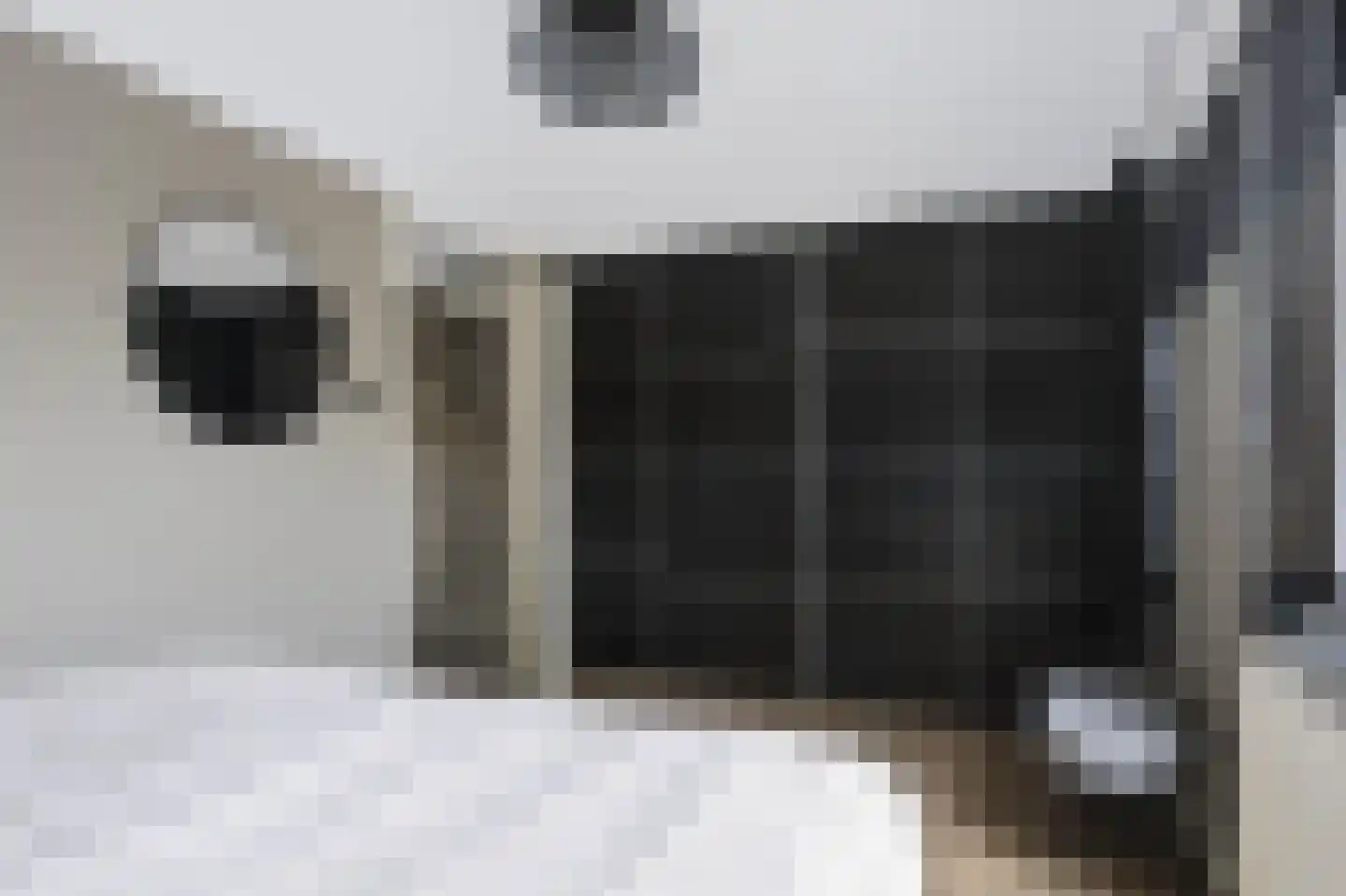 Pottenbakkersdonk 216 Apeldoorn thumbnail 17