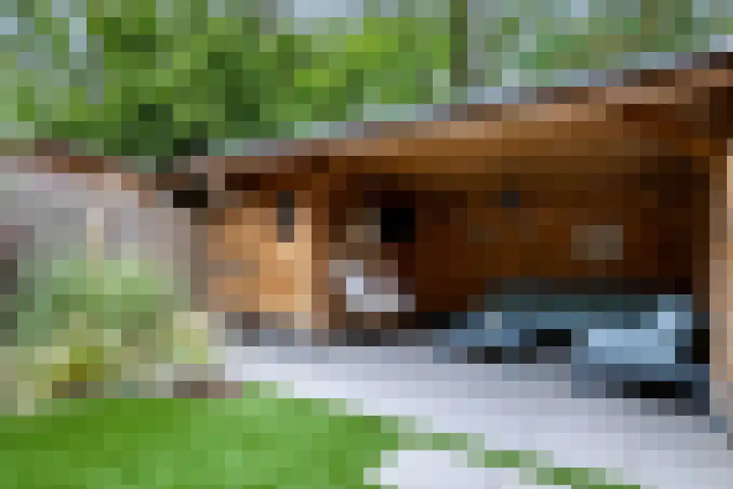 Pottenbakkersdonk 216 Apeldoorn thumbnail 29