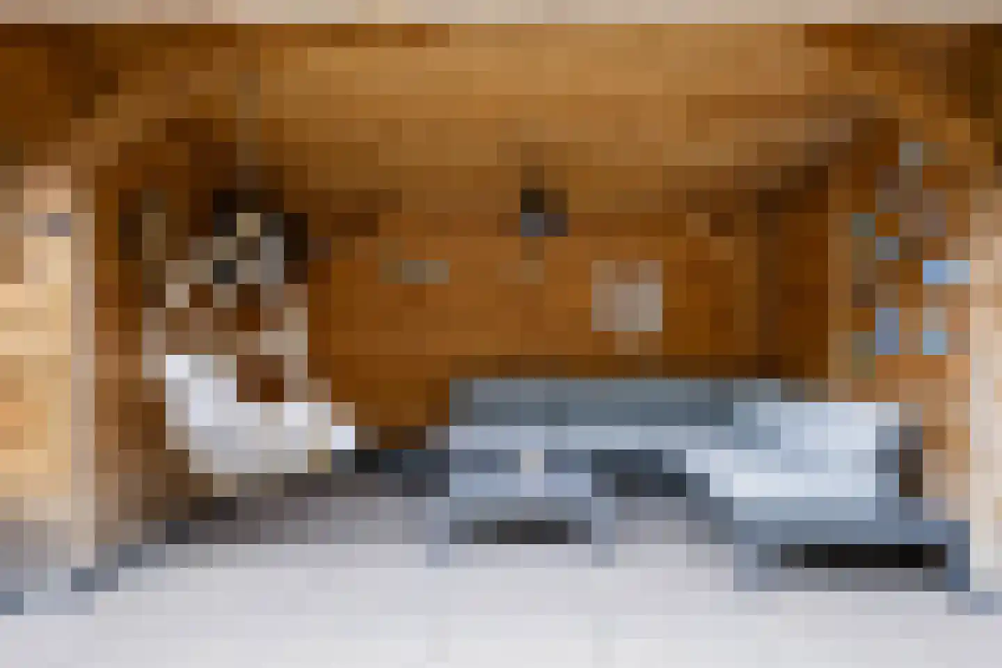 Pottenbakkersdonk 216 Apeldoorn thumbnail 30