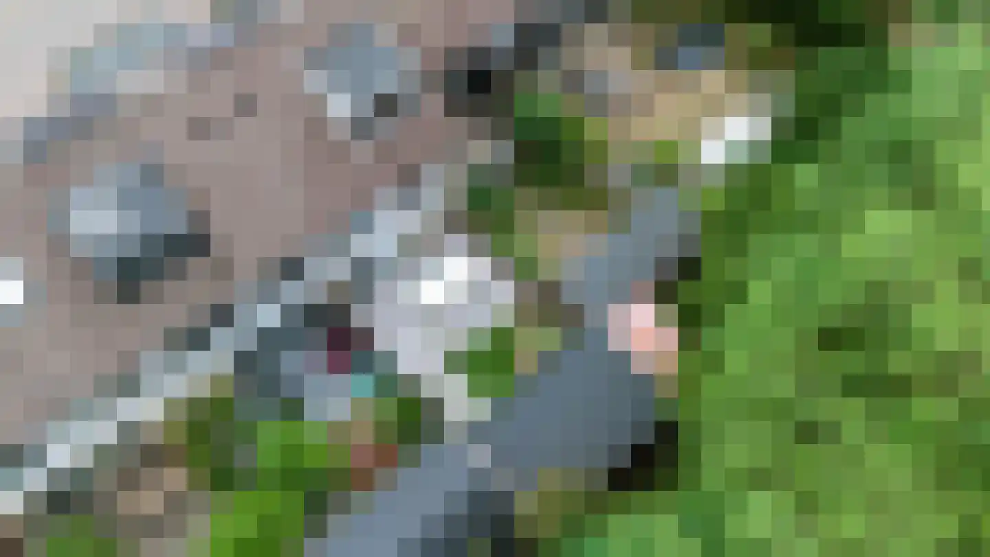 Pottenbakkersdonk 216 Apeldoorn thumbnail 33