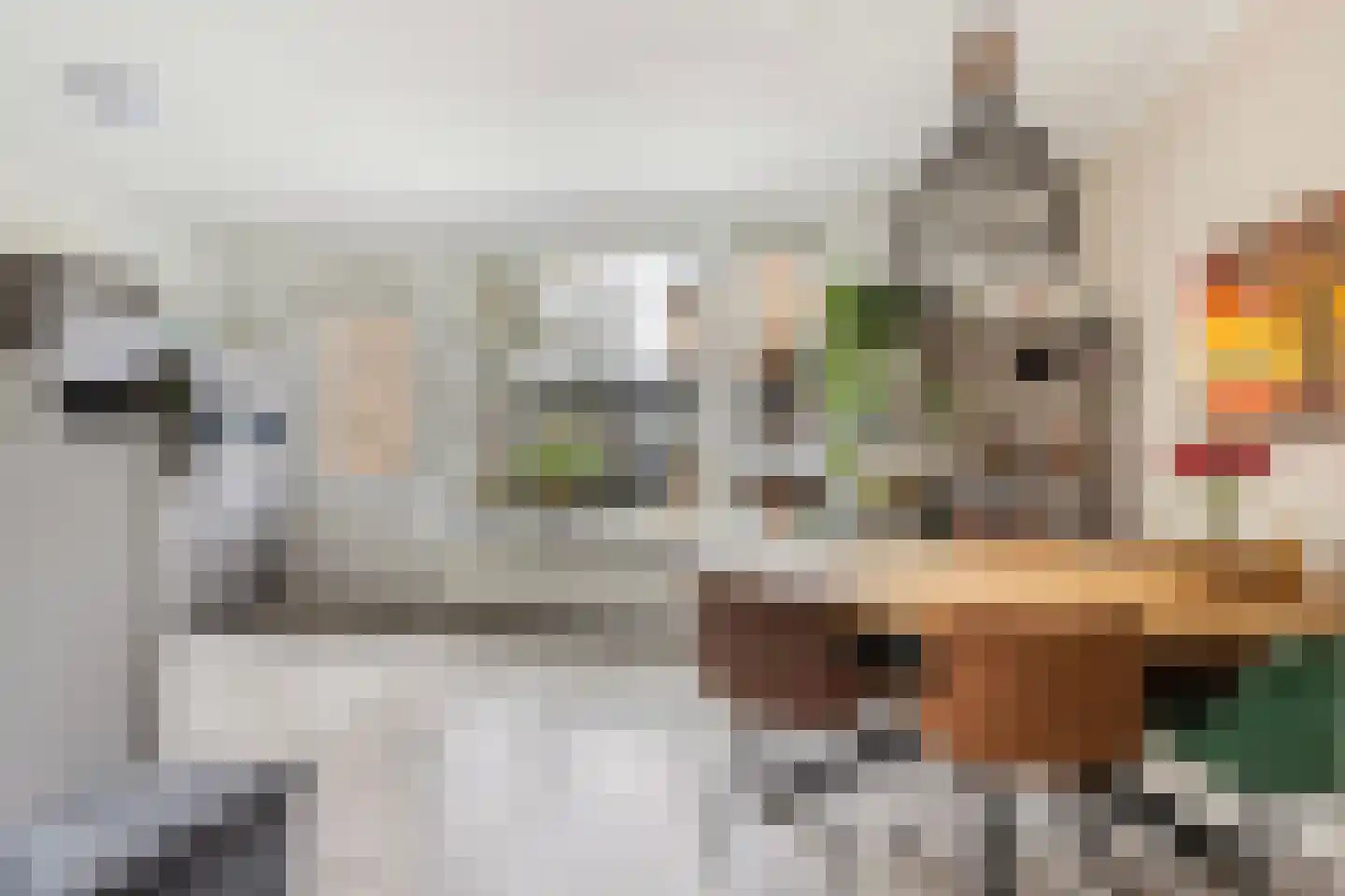 Pottenbakkersdonk 226 Apeldoorn thumbnail 15