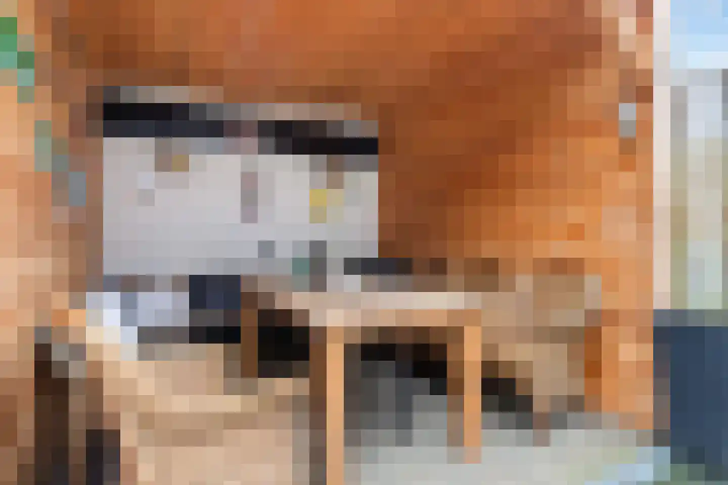 Pottenbakkersdonk 226 Apeldoorn thumbnail 22