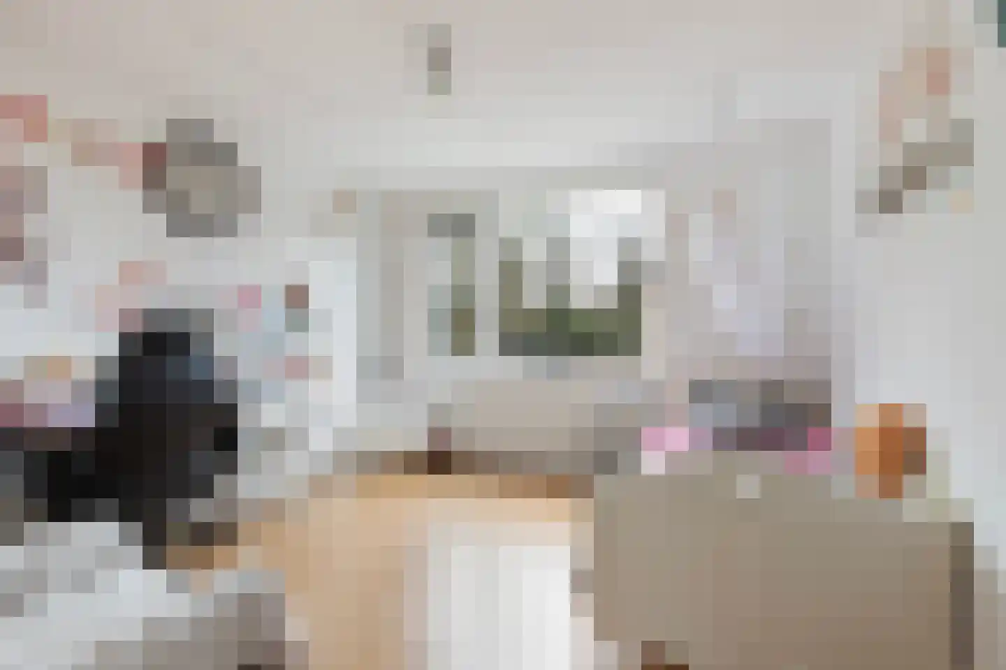 Pottenbakkersdonk 226 Apeldoorn thumbnail 25