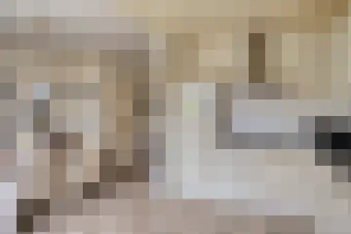 Pottenbakkersdonk 252 Apeldoorn thumbnail 10