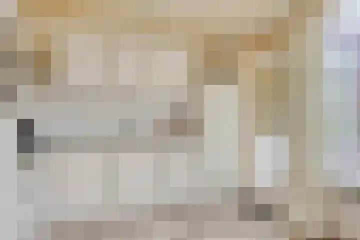 Pottenbakkersdonk 252 Apeldoorn thumbnail 11