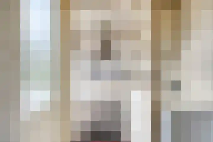Pottenbakkersdonk 252 Apeldoorn thumbnail 12