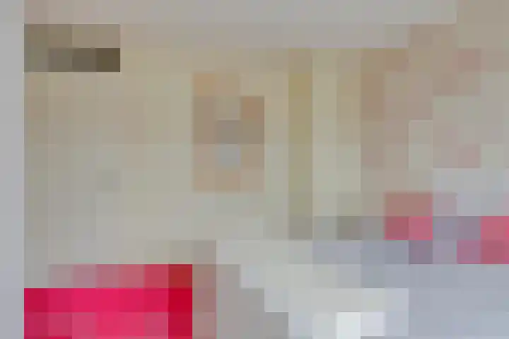 Pottenbakkersdonk 252 Apeldoorn thumbnail 16