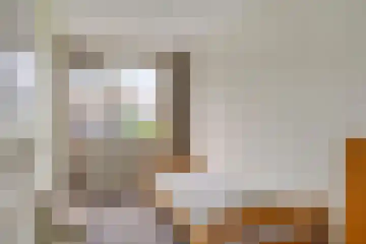Pottenbakkersdonk 252 Apeldoorn thumbnail 17