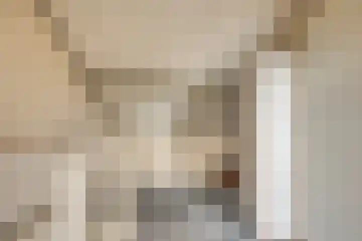 Pottenbakkersdonk 252 Apeldoorn thumbnail 20