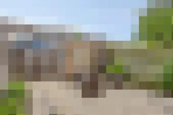 Pottenbakkersdonk 252 Apeldoorn thumbnail 23