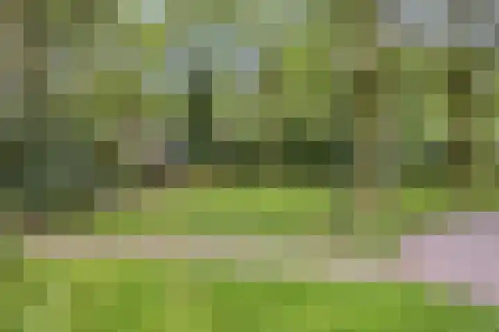 Pottenbakkersdonk 252 Apeldoorn thumbnail 25