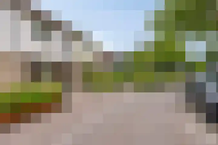 Pottenbakkersdonk 252 Apeldoorn thumbnail 26