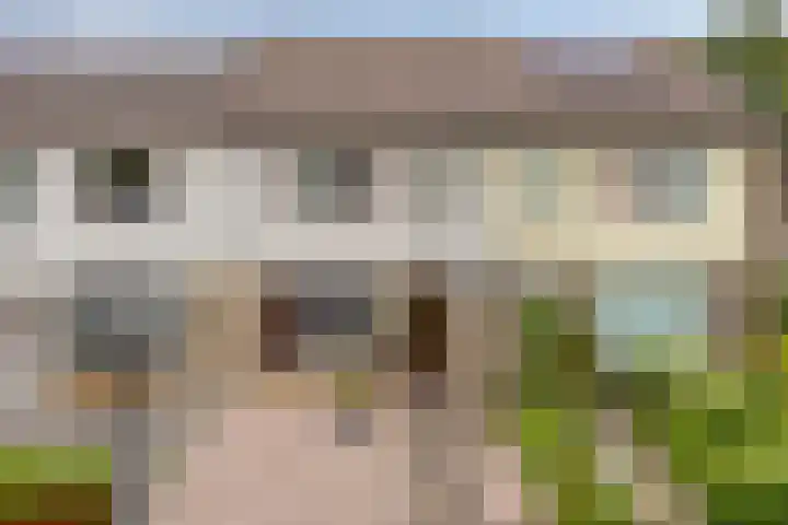 Pottenbakkersdonk 252 Apeldoorn thumbnail 28