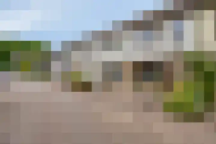Pottenbakkersdonk 252 Apeldoorn thumbnail 29