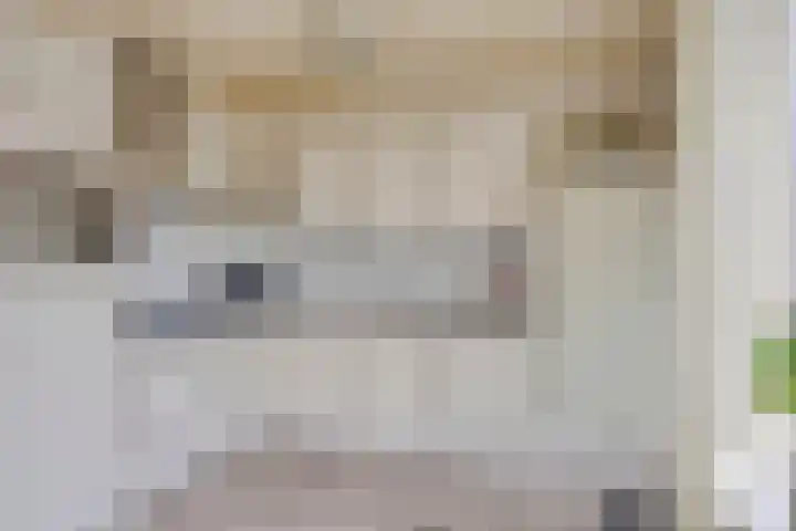 Pottenbakkersdonk 252 Apeldoorn thumbnail 4