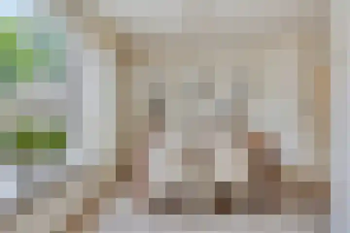 Pottenbakkersdonk 252 Apeldoorn thumbnail 9