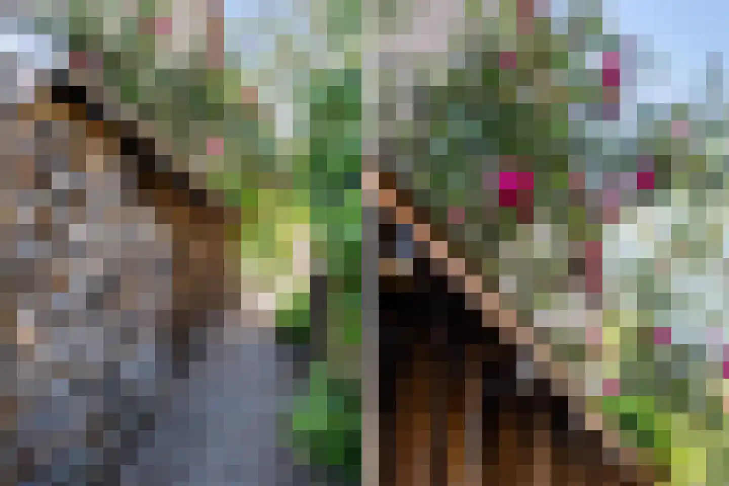 Pottenbakkersdonk 324 Apeldoorn thumbnail 29