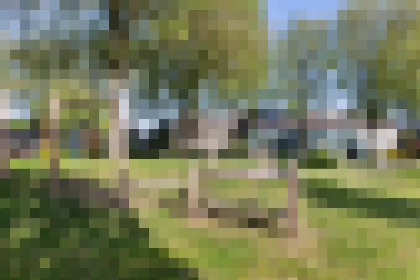 Pottenbakkersdonk 324 Apeldoorn thumbnail 31