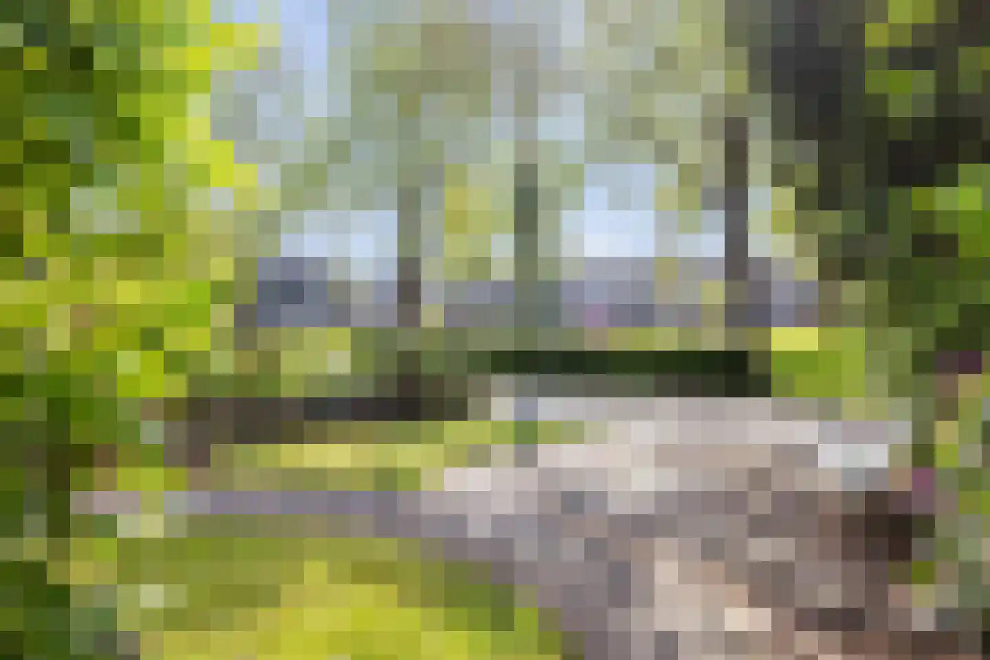 Pottenbakkersdonk 324 Apeldoorn thumbnail 34