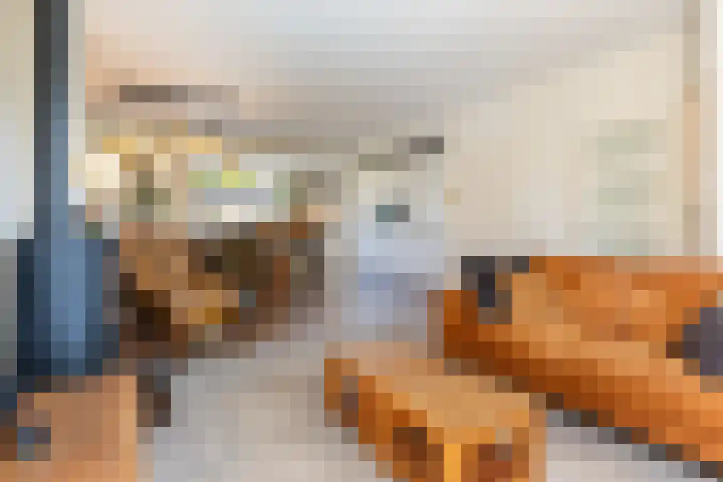 Pottenbakkersdonk 324 Apeldoorn thumbnail 6