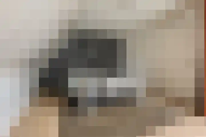 Pottenbakkersstraat 12 Veendam thumbnail 16