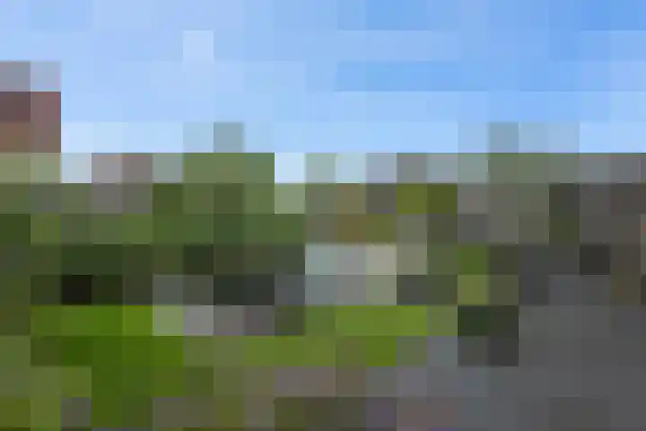 Pottenbakkersstraat 12 Veendam thumbnail 26