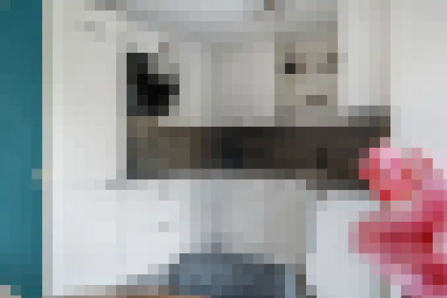Pottenbakkersstraat 14 Veendam thumbnail 15