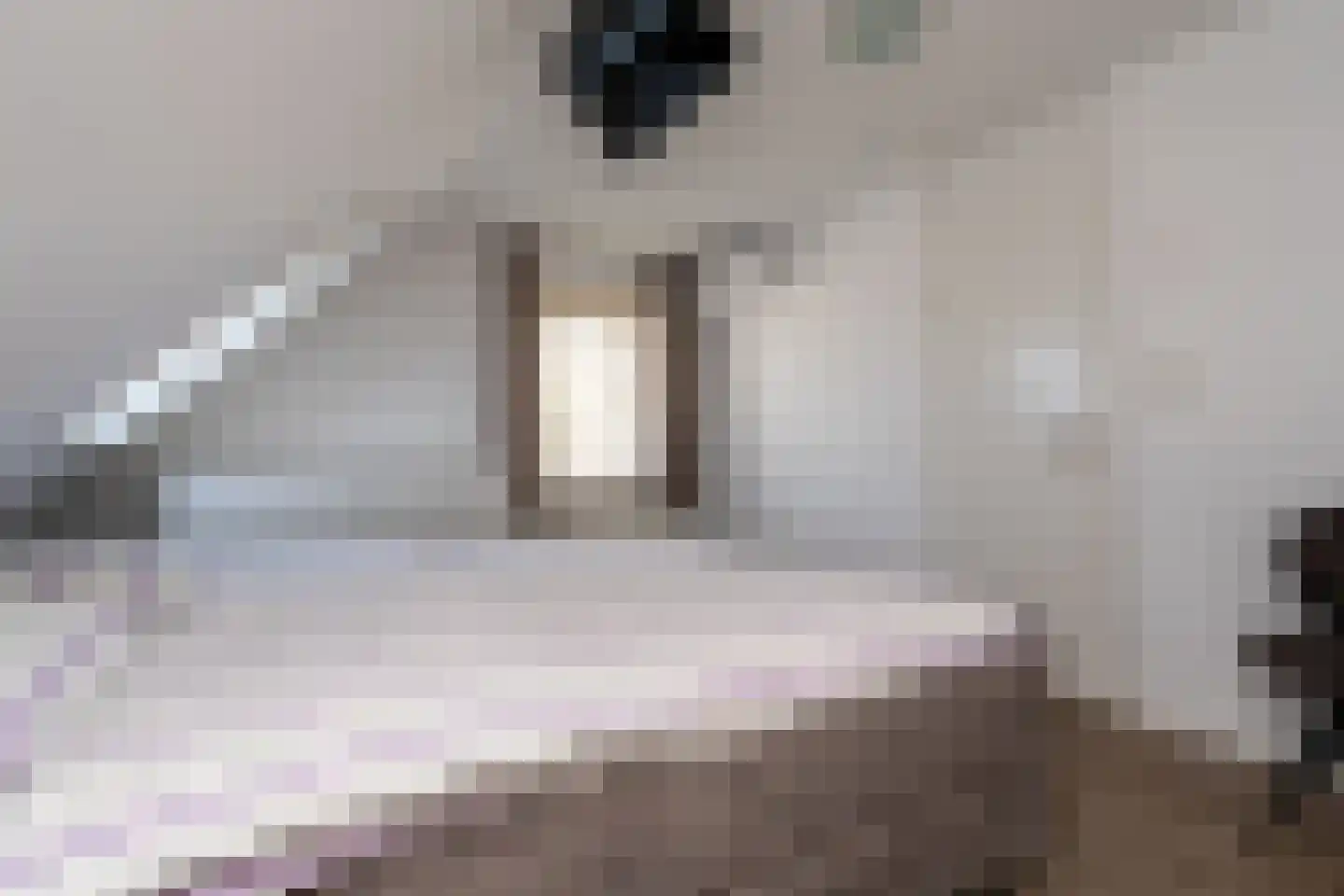 Pottenbakkersstraat 2 Veendam thumbnail 18
