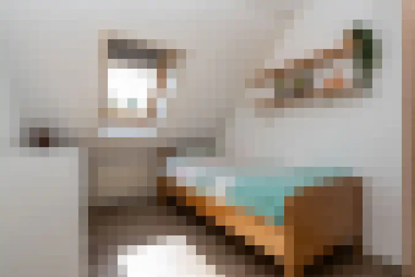 Pottenbakkersstraat 2 Veendam thumbnail 21