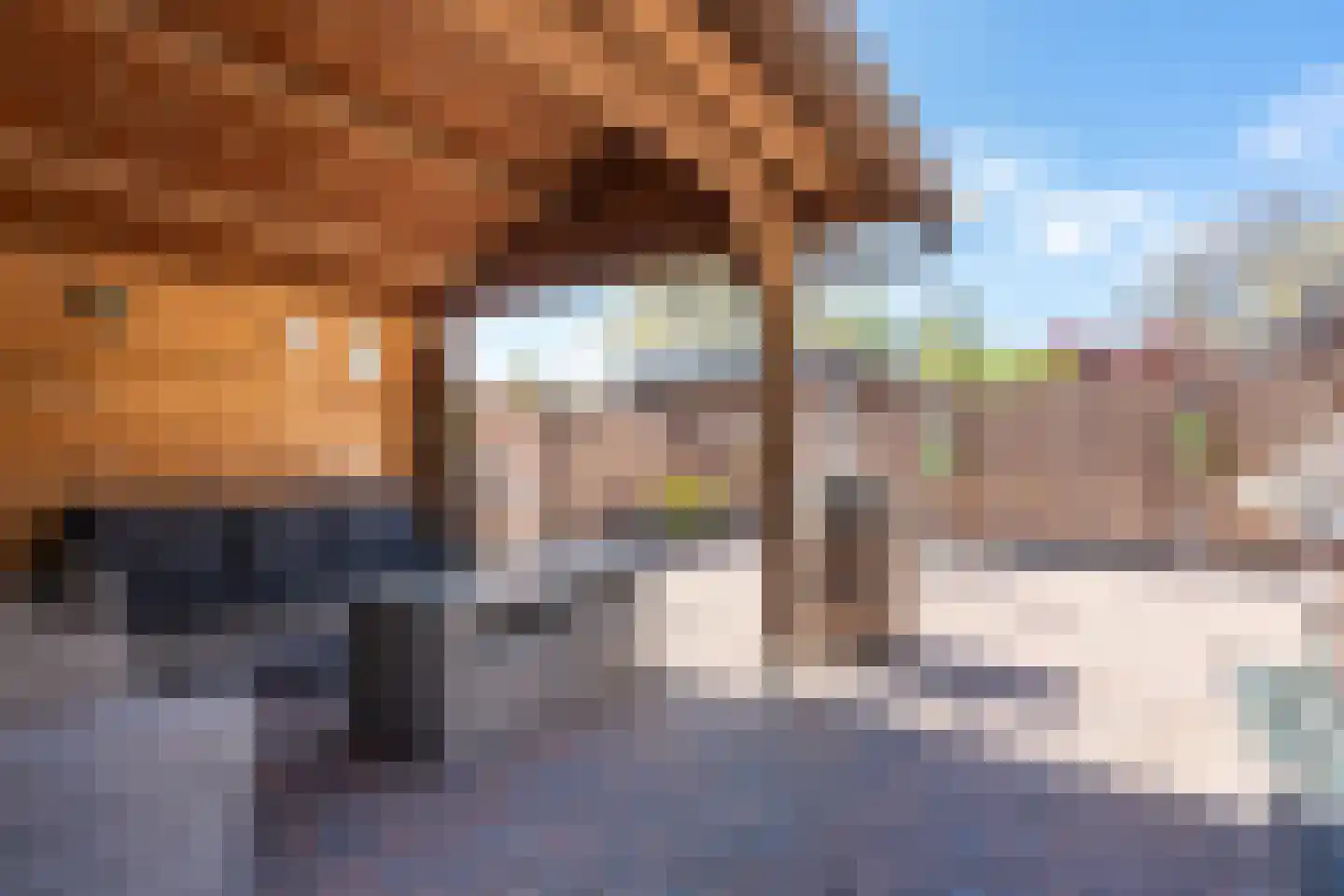 Pottenbakkersstraat 2 Veendam thumbnail 37