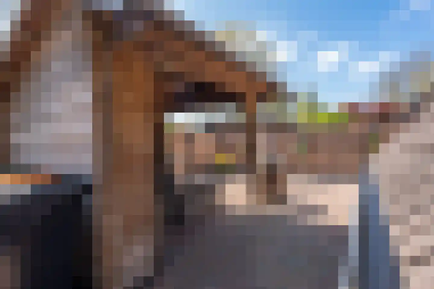 Pottenbakkersstraat 2 Veendam thumbnail 39
