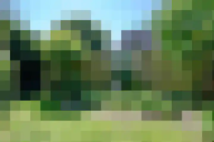 Pottenbakkersstraat 35 Veendam thumbnail 10