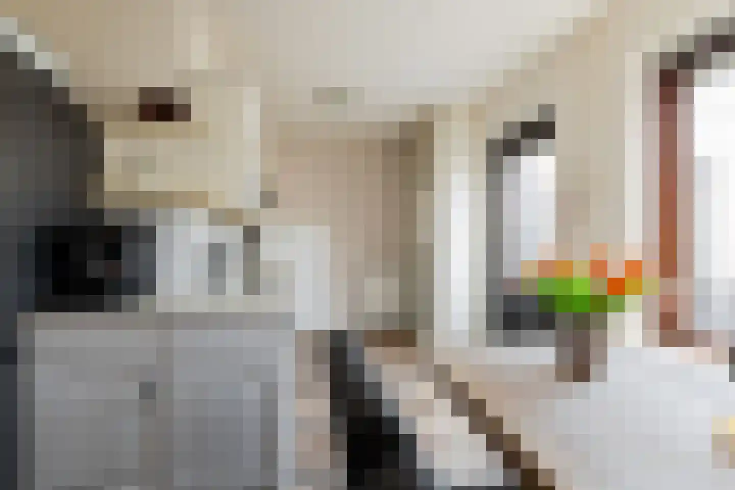 Pottenbakkersstraat 35 Veendam thumbnail 13